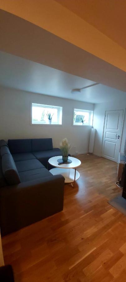 Aurora Rooms For Rent Nr1 We Are Doing Privet Northen Light Trip, Reindeer Trip And Sommaroy Fjord Trip Tromso Exterior photo